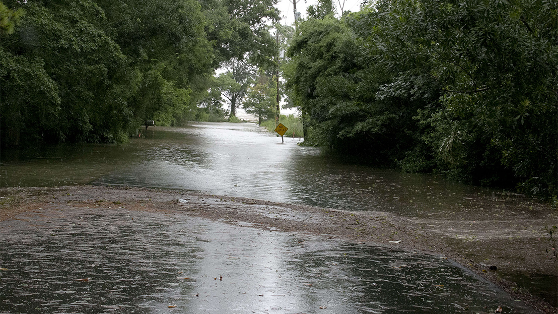 Flooded street after Hurricane Francine.